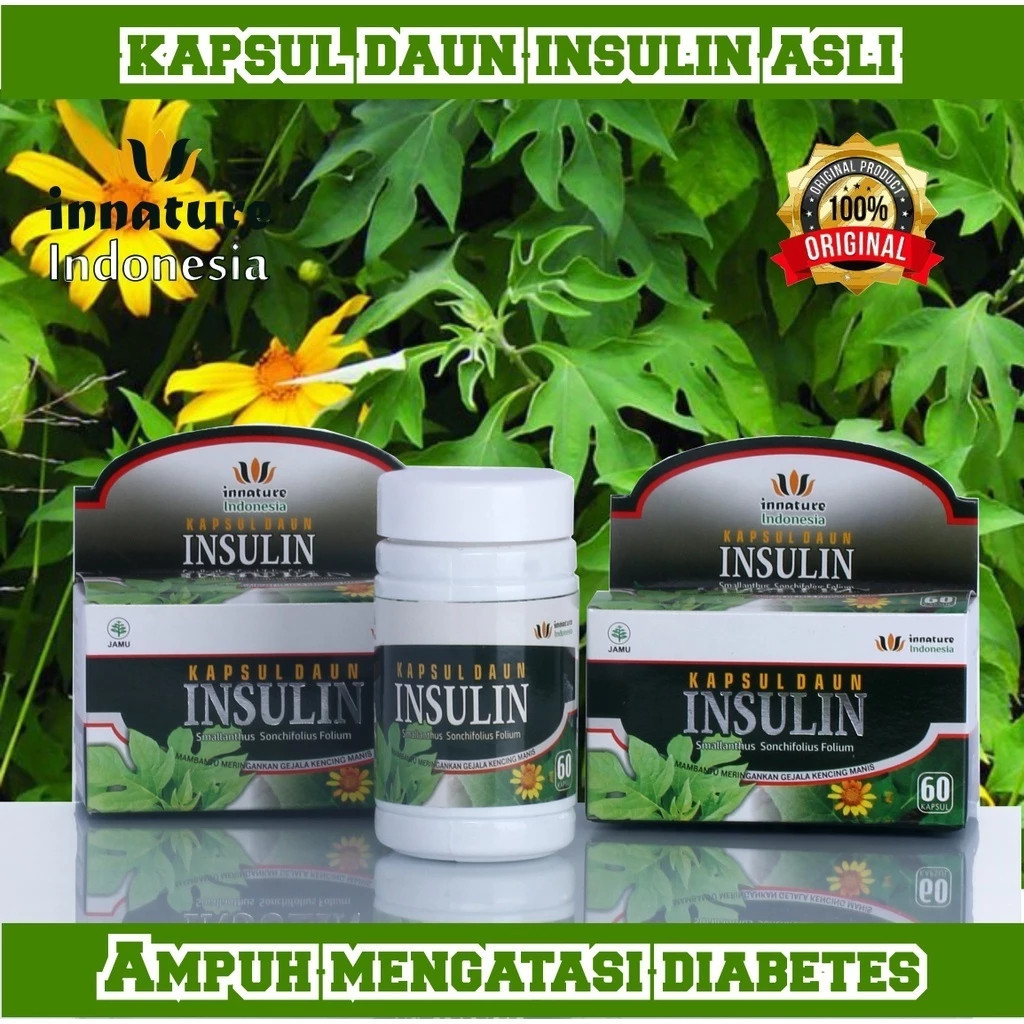 KAPSUL DAUN INSULIN HERBAL MURNI ORIGINAL CV.HANIF HERBAL SOLUSI DIABETES DAN KENCING MANIS (55)