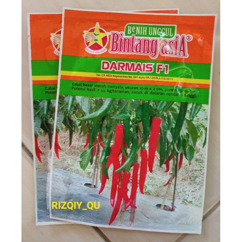 DARMAIS F1/BENIH CABAI BESAR/BINTANG ASIA/10gram