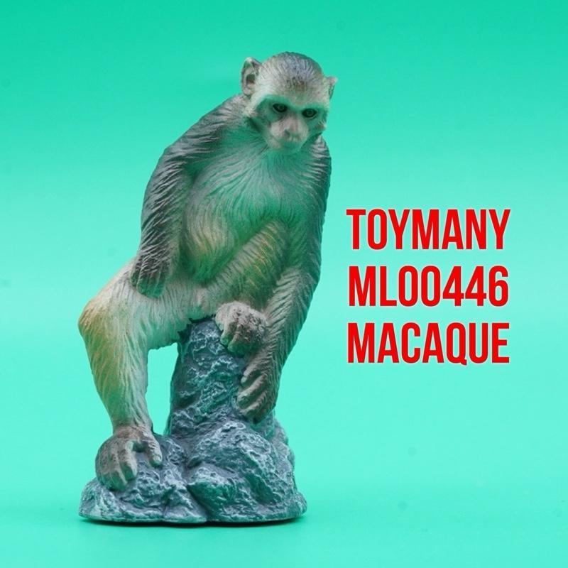 ToyMany ML00446 | Macaque Monkey Monyet Ekor Panjang Beruk Kera Macaca | Mainan Figure Binatang Mini