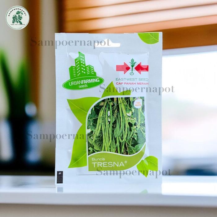 Benih Bibit Buncis Tresna Cap Panah Merah - BUNCIS TRESNA EAST WEST SEED