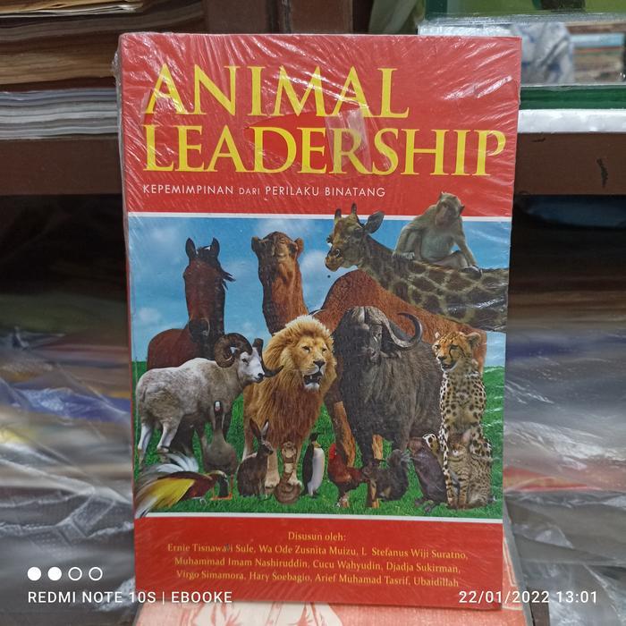 animal leadership kepemimpinan dari perilaku binatang