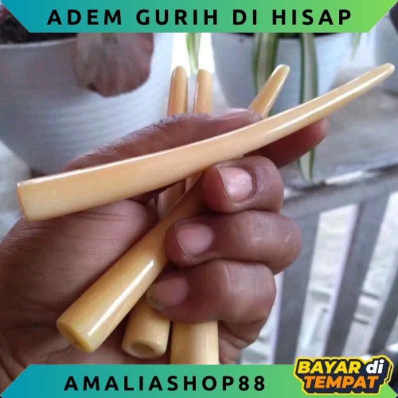 ONCE PIPA TULANG UNTA RASA ADEM PULEN