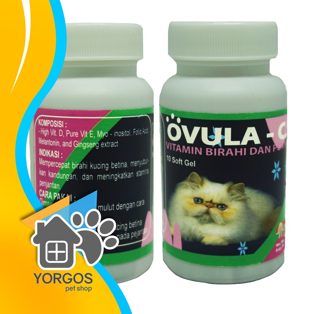 Obat Birahi Kucing Ovula Cat ap