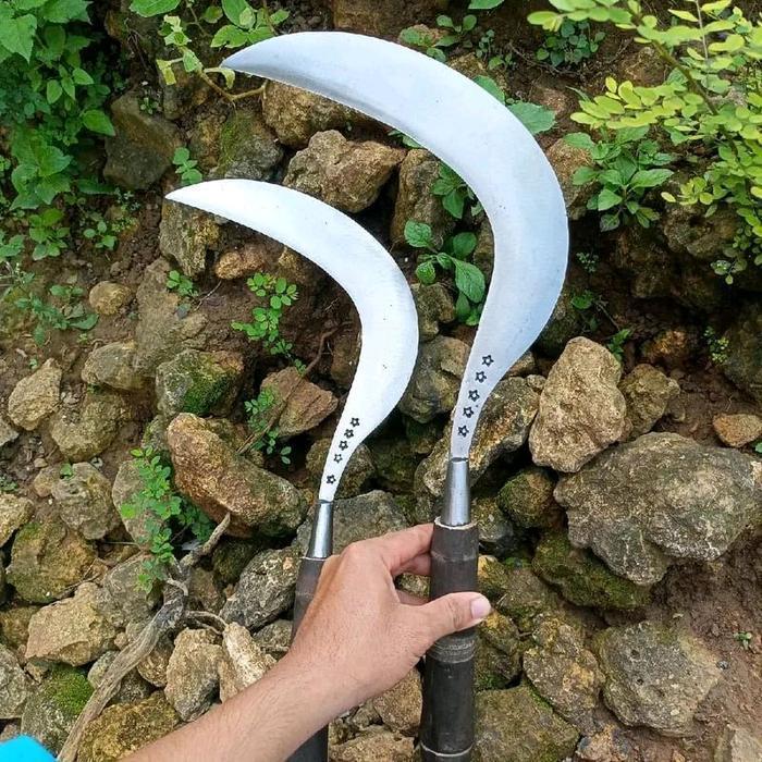 arit sabit rumput ranting baja full pir bintang 5