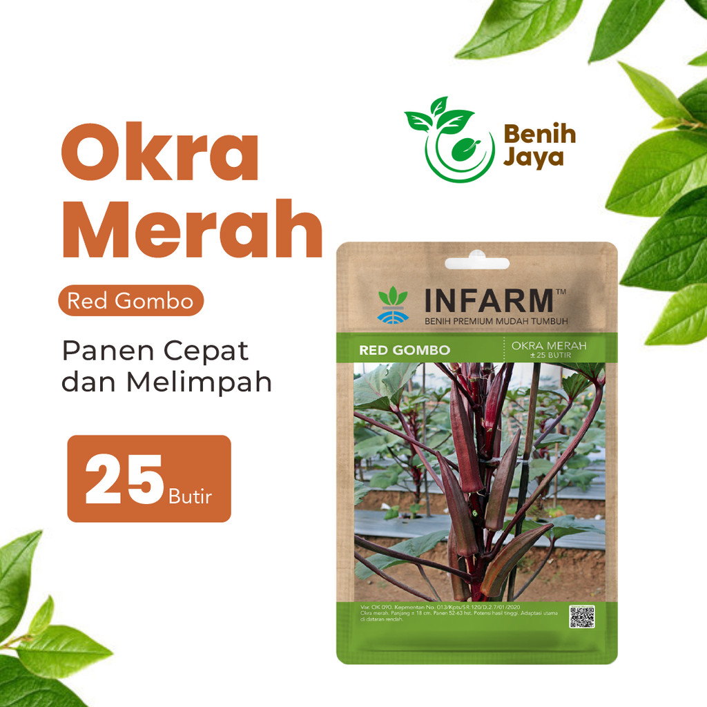 BENIH JAYA - Benih Okra Merah Redgombo Bibit Okra Benih Okra Bibit Sayuran Benih Sayuran Bibit Sayur