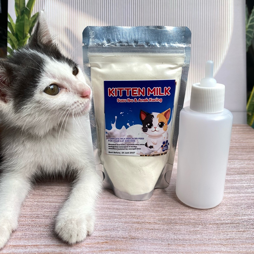 Promo Dot Kucing + Susu Kucing Baru Lahir Paket Hemat Susu Kucing Dan Dot Kucing Biomilk 100gr Bisa 