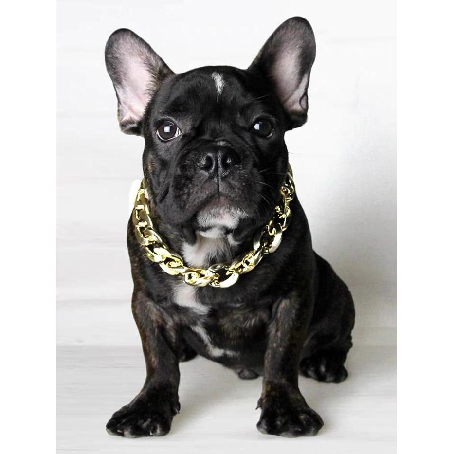 KALUNG RANTAI ANJING KUCING TIDAK PUDAR & DAPAT DI BESAR KECIL IMPOR - GOLD