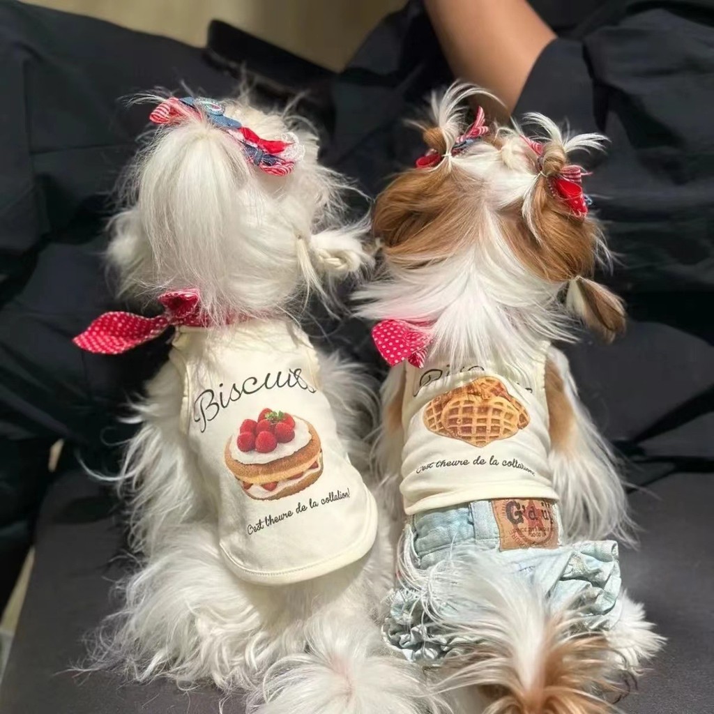 Tail Planet COD  Pakaian Anjing, Yorkshire Terrier, Hewan Peliharaan, Rompi Maltese, Boneka Beruang,