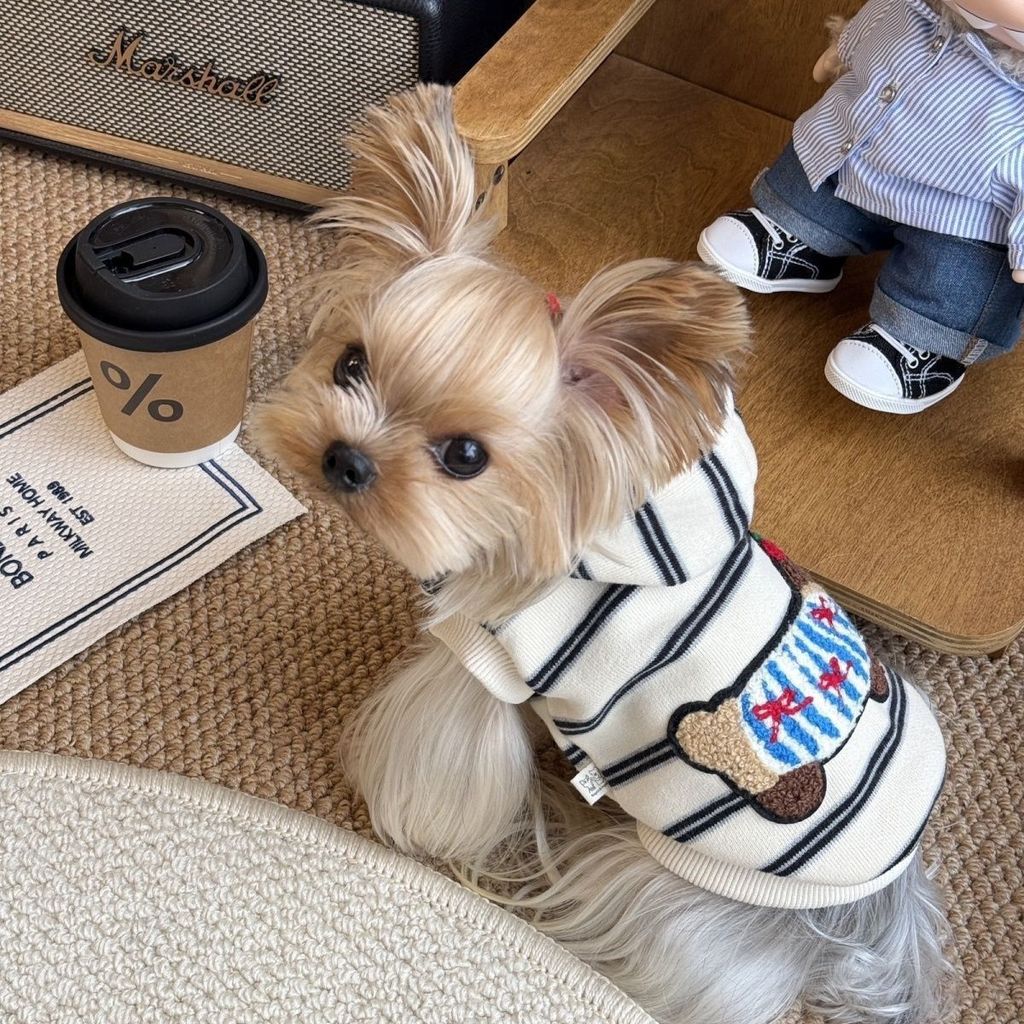 Tail Planet COD  Pakaian Kucing dan Anjing Peliharaan Keren, Sweatshirt Berkerudung Boneka Beruang M