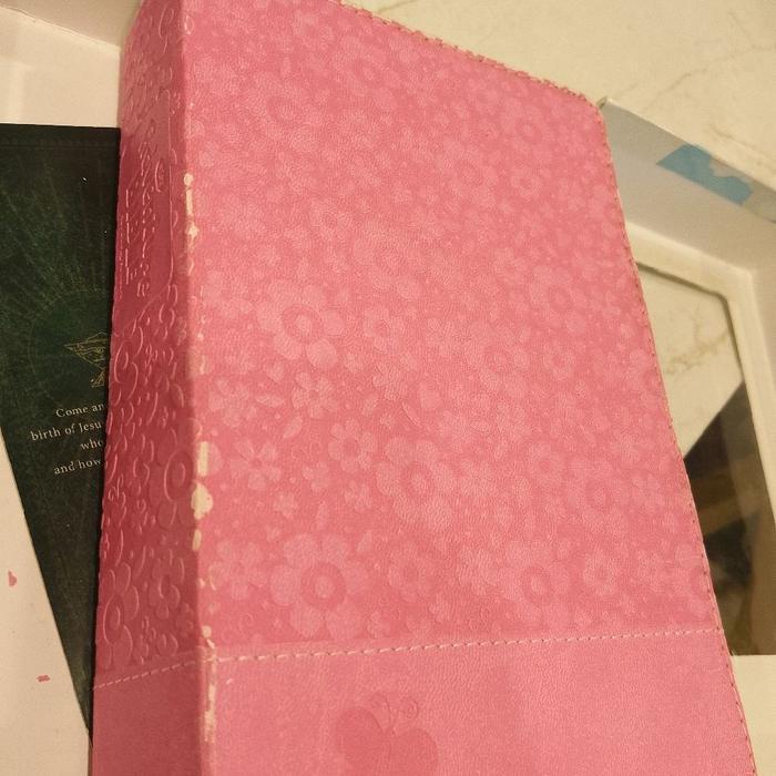 Alkitab anak NIrV Adventure Bible for Early Readers PINK