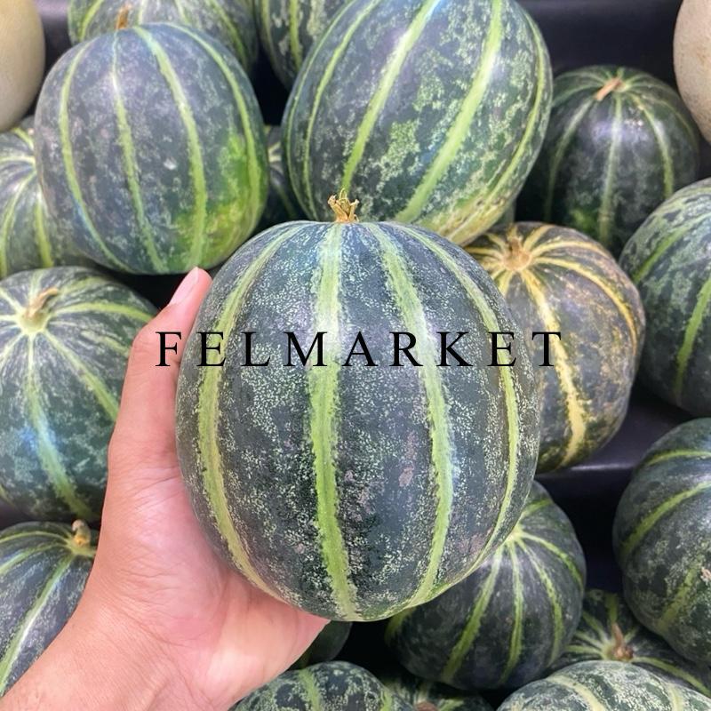 Buah Blewah Super / Buah Blewah Fresh / 1 pcs