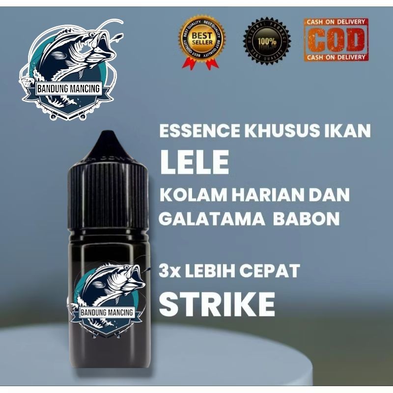 Bandung Mancing - Essen Khusus Ikan Nilem Liar, Sungai, Harian Paling Ampuh