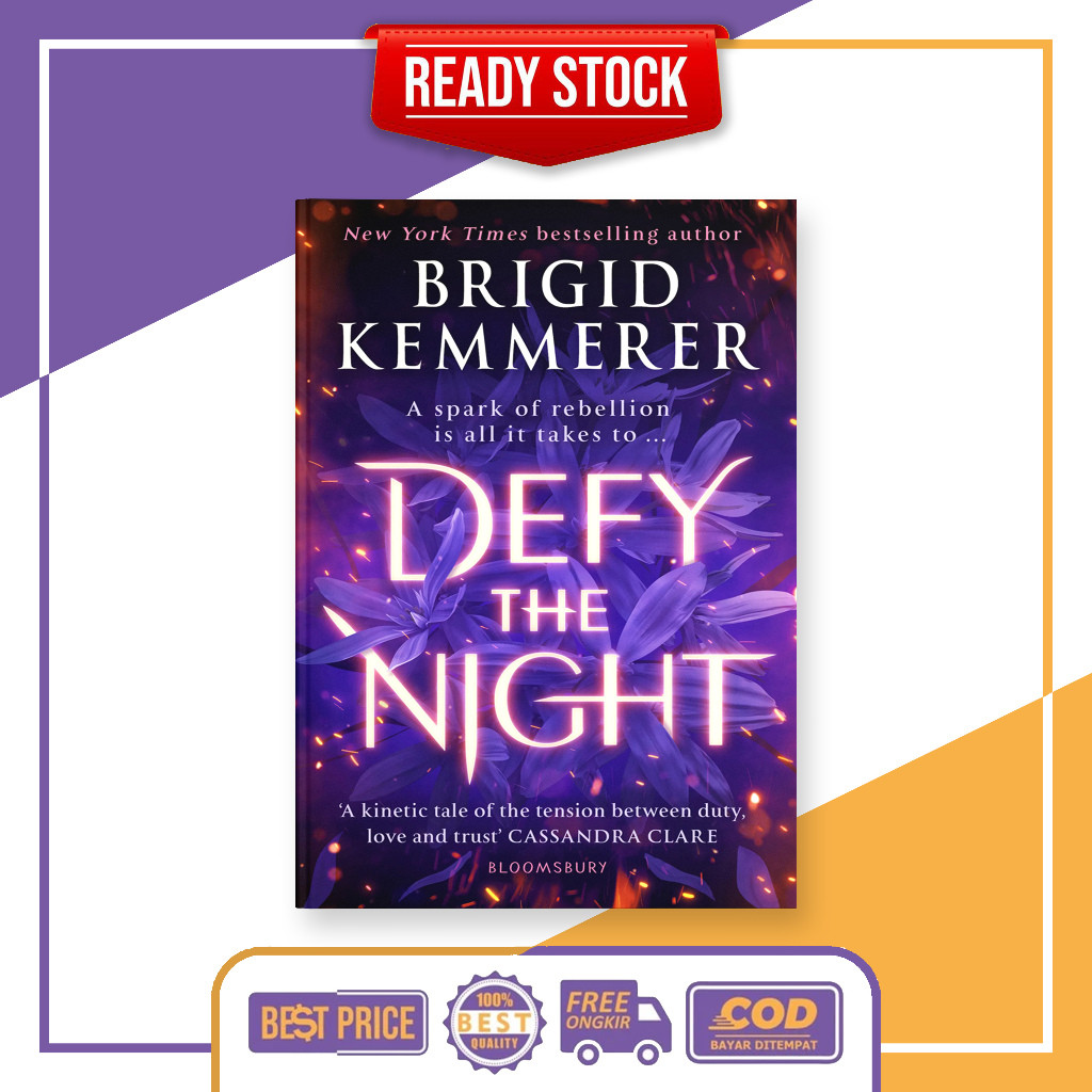 (English) Defy the Night by Brigid Kemmerer
