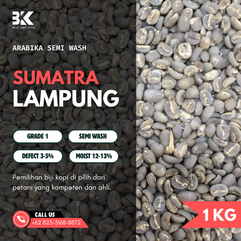 Grade 1 Semi Wash Lampung Green Beans | Biji Kopi Mentah