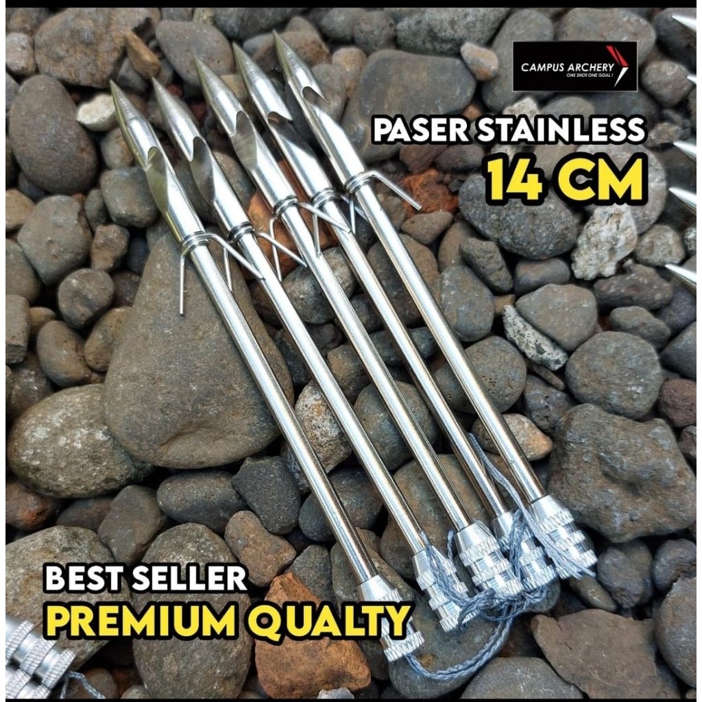 TERLARIS Paser ikan Ketapel / Mata Paser Ketapel Ikan