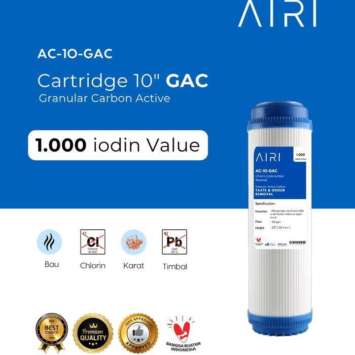 NeatHouse Decor AIRI Cartridge Filter air penguin BLEU & AIRI 10 in GAC ( coconut carbon & 950 Iodin