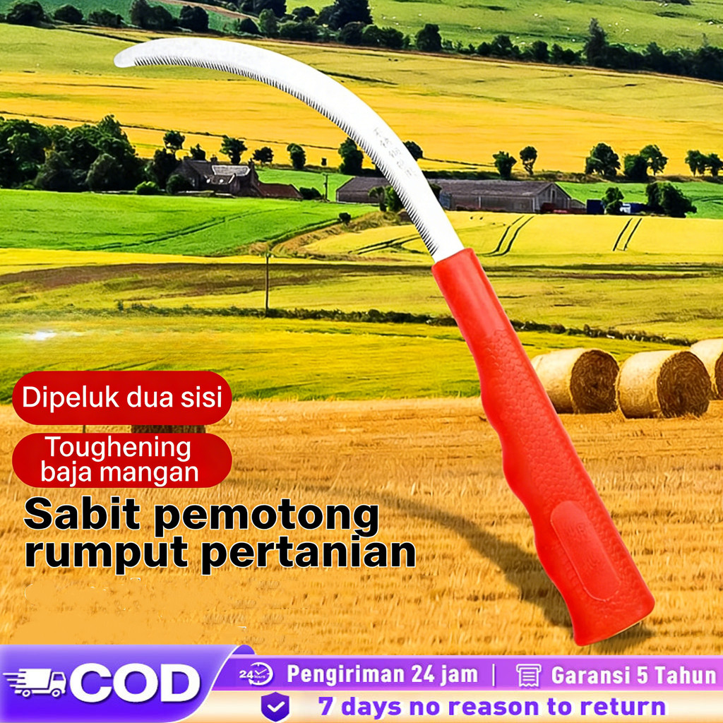 Sabit baja tahan karat/baja karbon, sabit pemotong rumput, sabit bergerigi pertanian, sabit kecil be