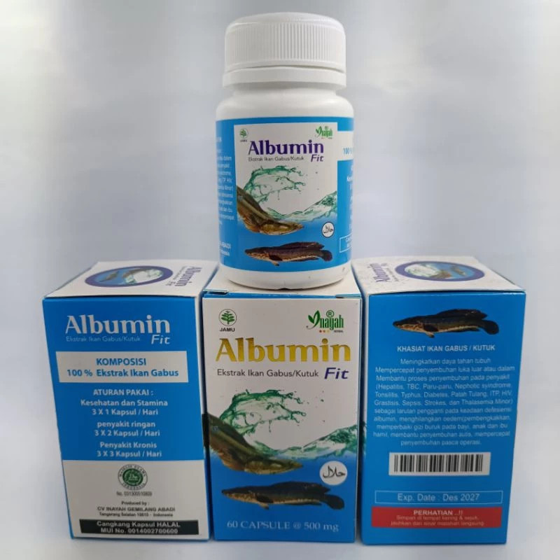 KAPSUL ALBUMIN FIT KAPSUL IKAN GABUS / IKAN KUTUK 1 BOTOL ISI 60 KAPSUL MENGOBATI BEKAS OPERASI (52)