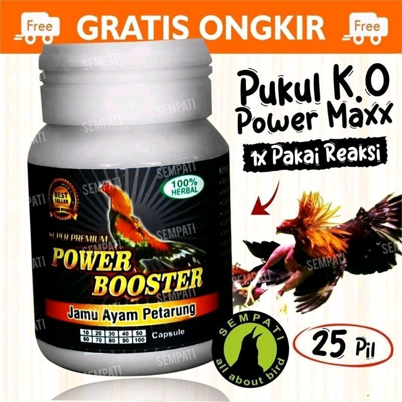 MUCIKARI STORE - Power Booster Super Premium Jamu Ayam Petarung Ayam Aduan Ayam Jago Ayam Bangkok Ay