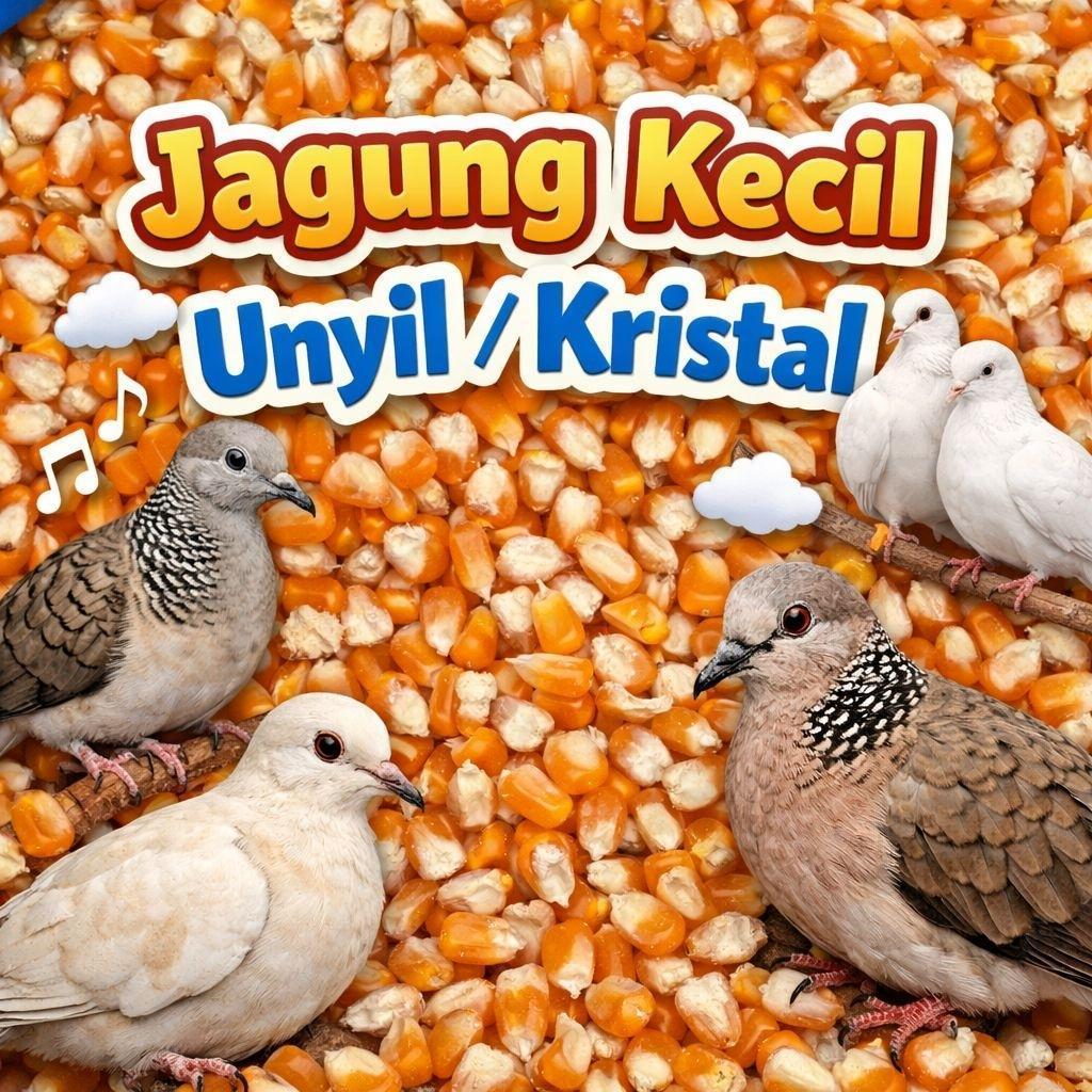 1 Kg jagung kristal kecil - jagung unyil - jagung madura - pakan burung - merpati - puter dll
