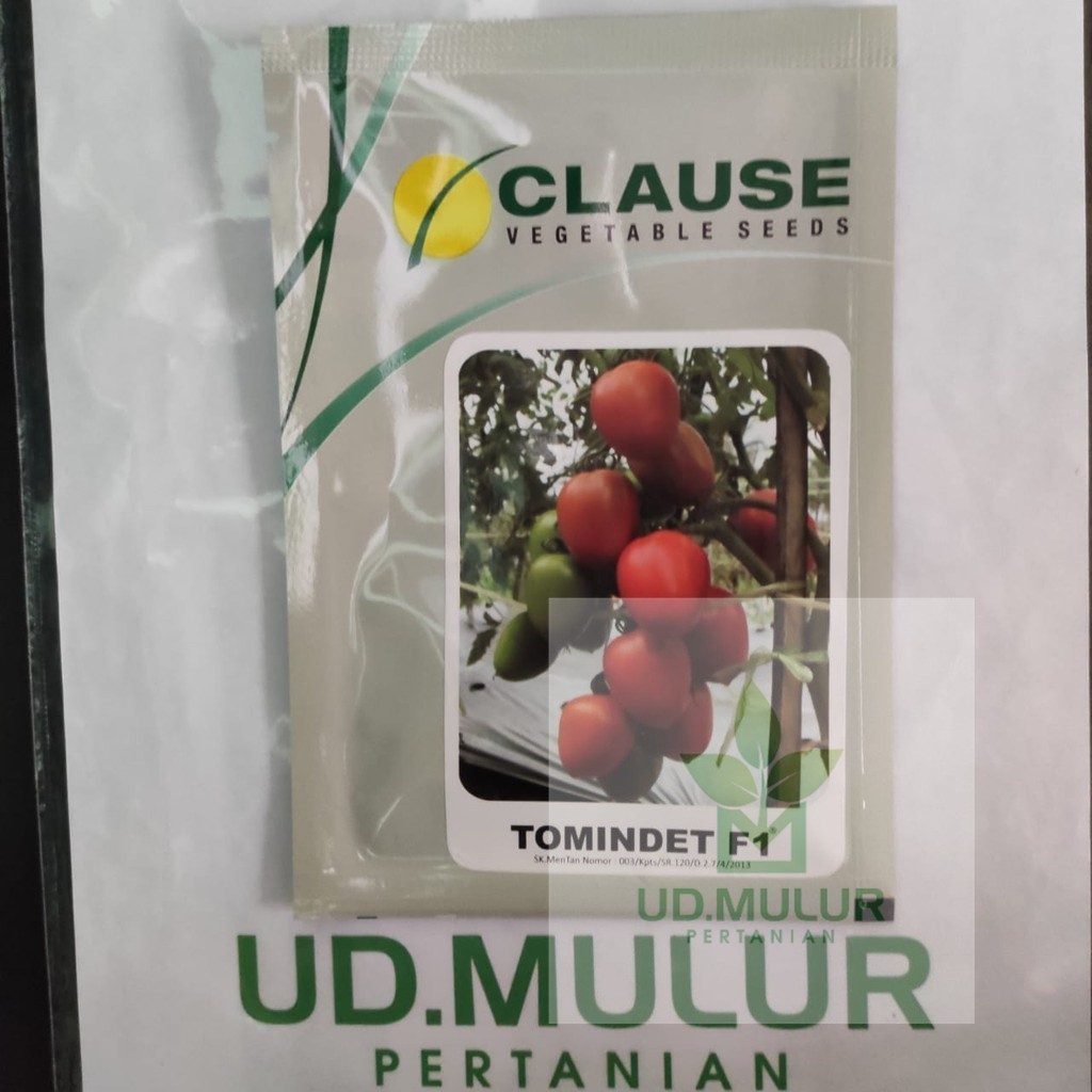 Benih Tomat Buah TOMINDET F1 isi 5gr merk Clause Indonesia
