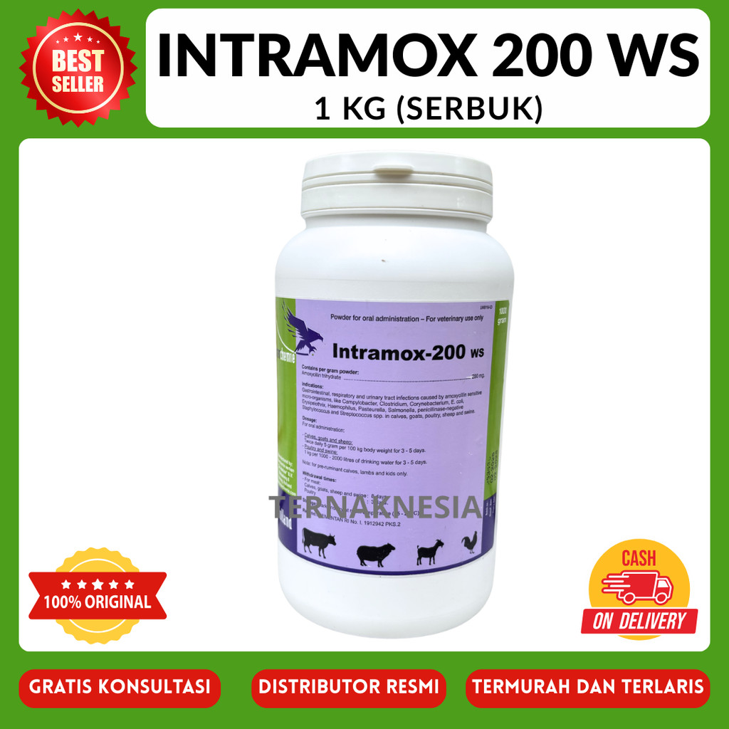 INTRAMOX 200 WS 1 KG - Mengobati Infeksi Saluran Pencernaan dan Pernafasan Hewan Ternak TMC TN