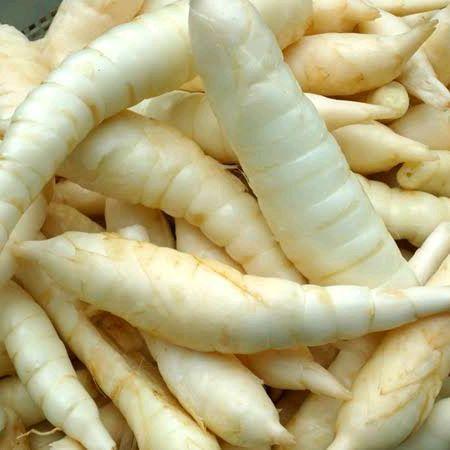 (2 Kg) umbi garut / kerut / angkrik asli