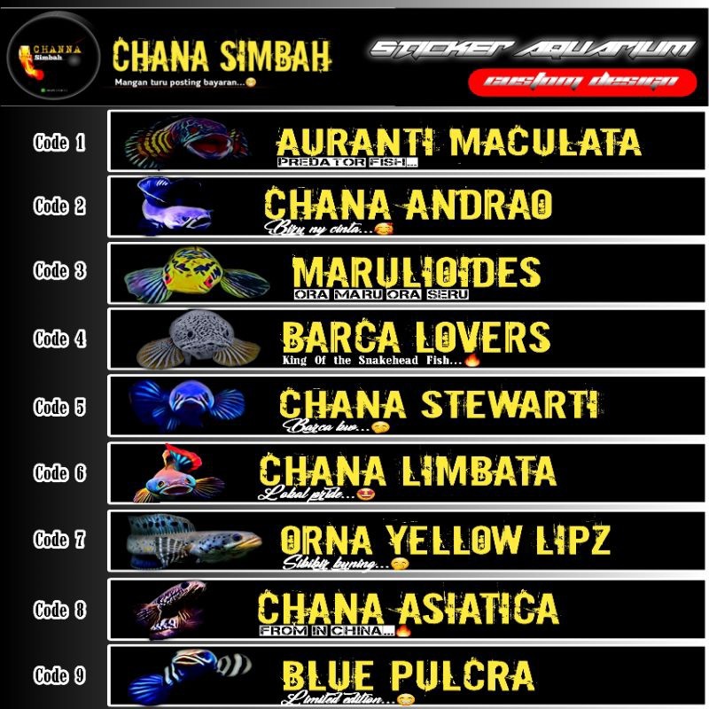 List Sticker Aquarium Ikan Chana Terbaru | Chana Auranti
