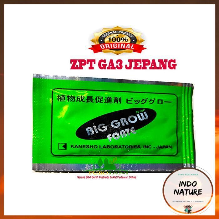 [ IndoNature ] Big Grow Forte Gibberellic Acid 20 WP ZPT GA3 Jepang