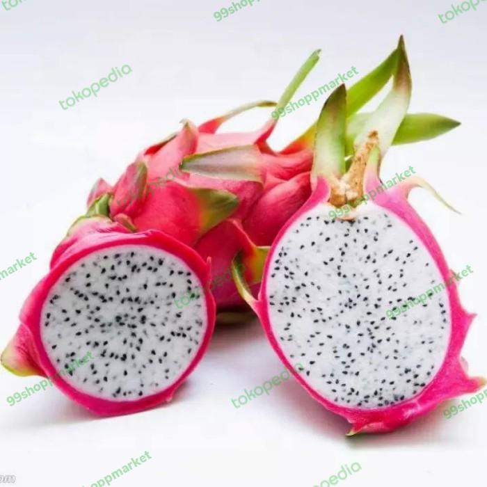 Buah Naga Putih Dragon white 1 kg