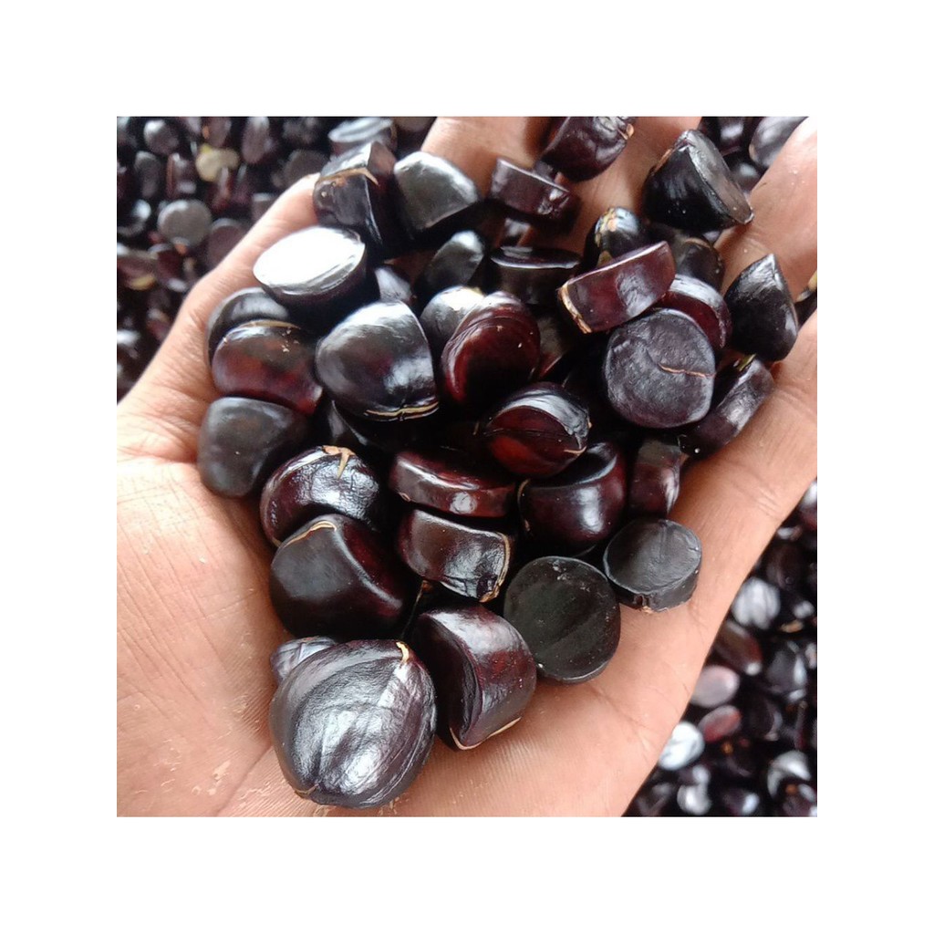 jolang jaling Kabau dari Lampung berat 100gr
