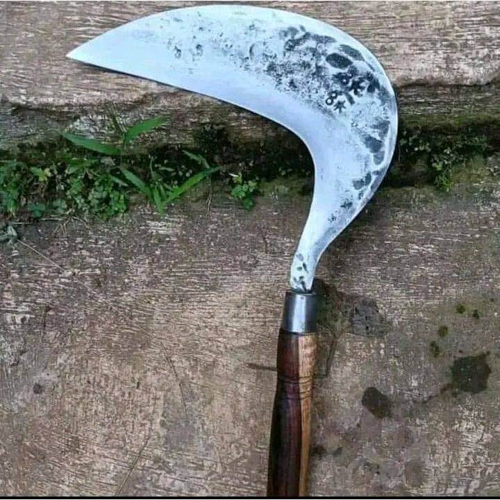 SABIT/ARIT Rumput Super Tajam Bahan 100% BAJA PER ASLI TEMPA SIPUH | Arit Model Cikajangan Cikajang 