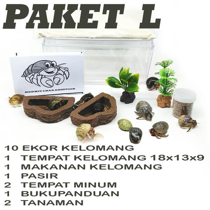 Paket edukasi mainan anak hewan pet kelomang umang keong murah meriah - Besar