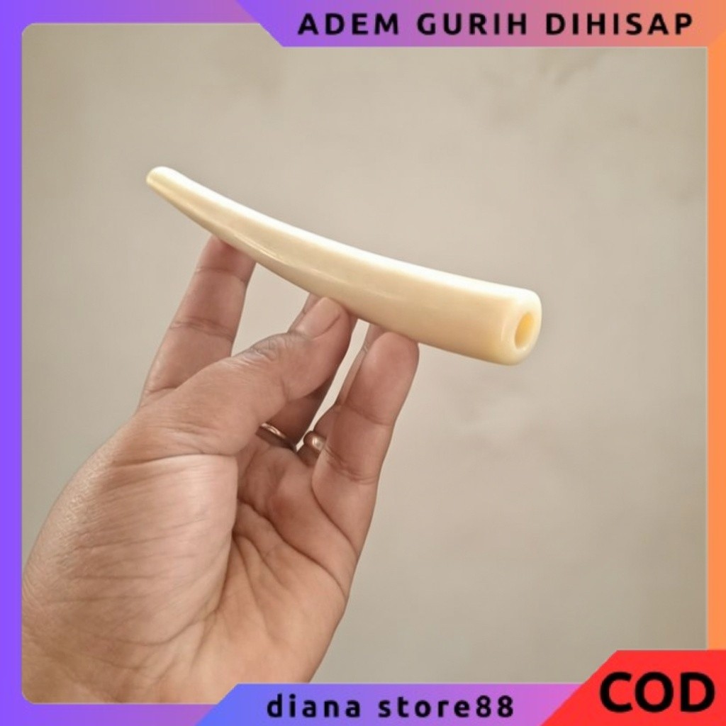 Once Pipa Tulang Unta Adem Polll