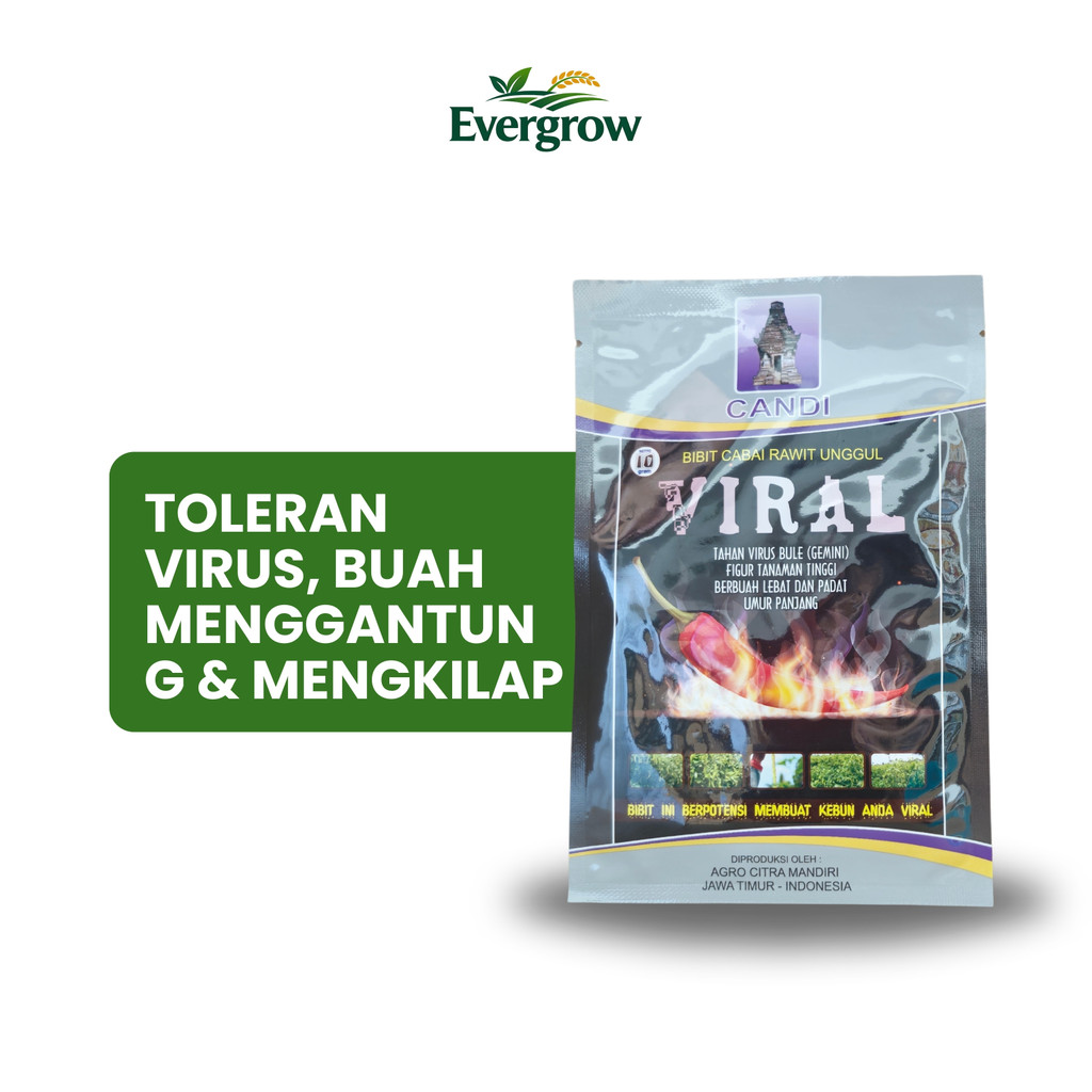 Benih Cabe Rawit VIRAL 10 gr Original Cap Candi – Toleran Virus