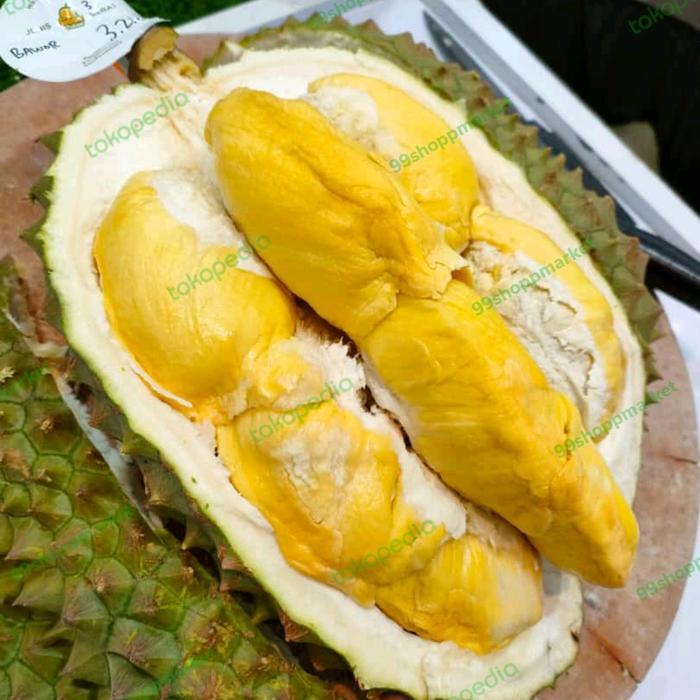 Durian Bawor Fresh utuh -+ 3.2 kg