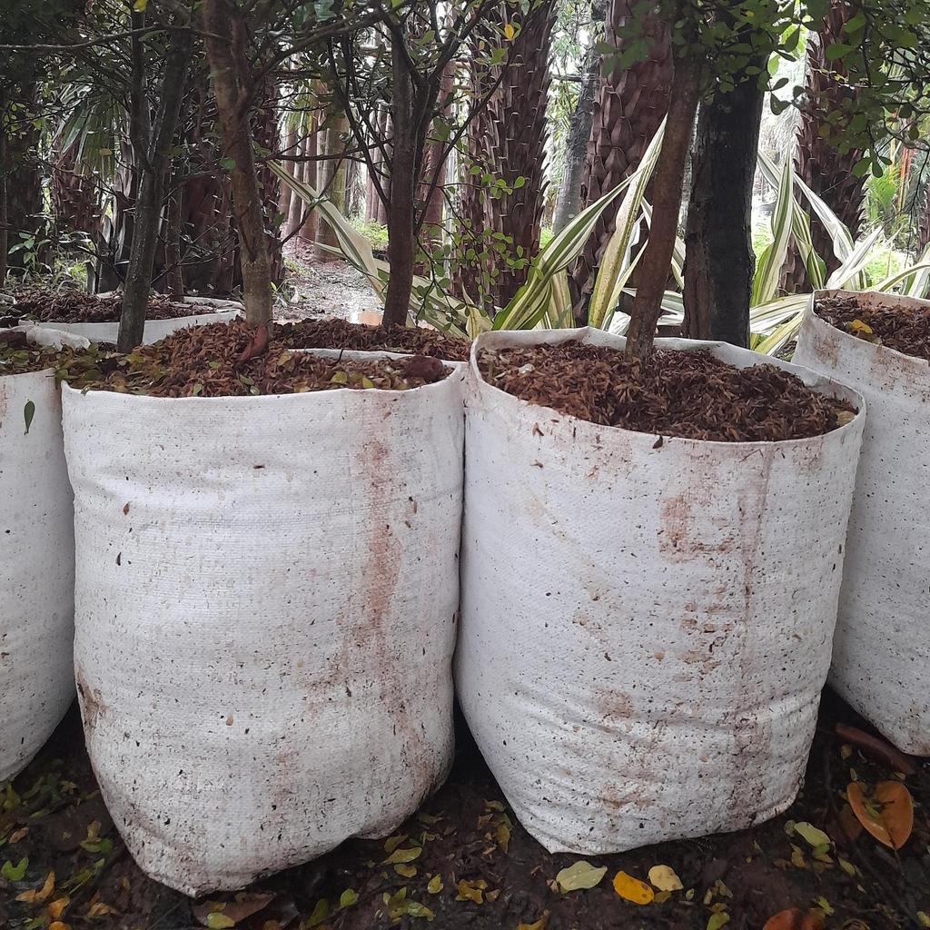 Planter bag 12,5liter - polibek karung