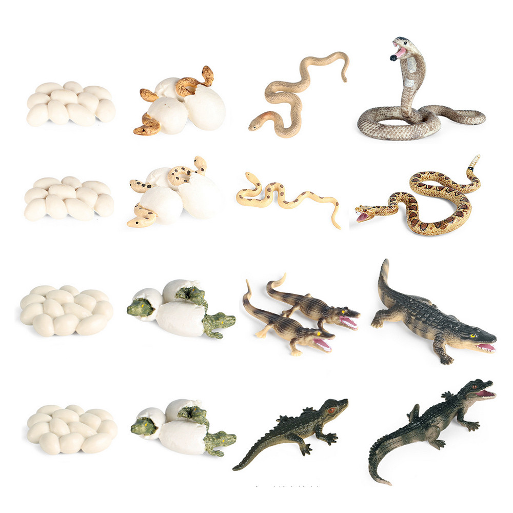 Life Cycle Animal Figures Set Crocole Snake Animal Figurines Anime Action Figure Plastic Animals for