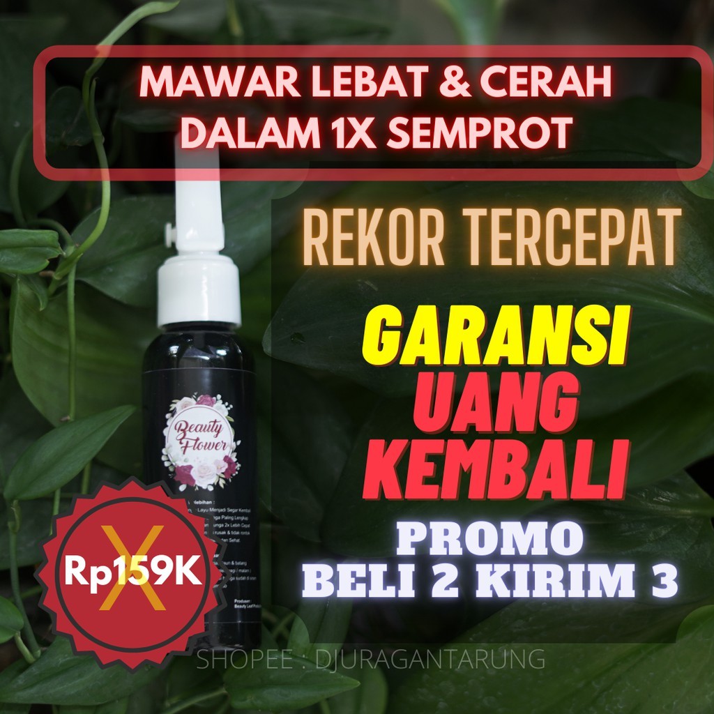 Pupuk Bunga Mawar,Pupuk Bunga Mawar Cair,Pupuk Bunga Mawar Semprot,Pupuk Bunga Mawar Grow,Pupuk Bung