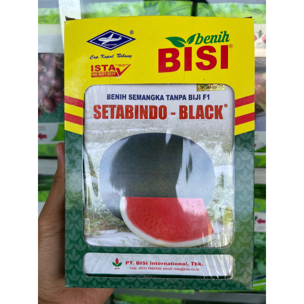 Benih Semangka SETABINDO BLACK (20 Gram) - Bibit Non Biji Hibrida F1 BISI