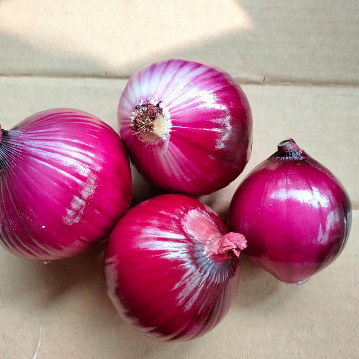 jual bawang Bombay merah kupas bersih 1 kg
