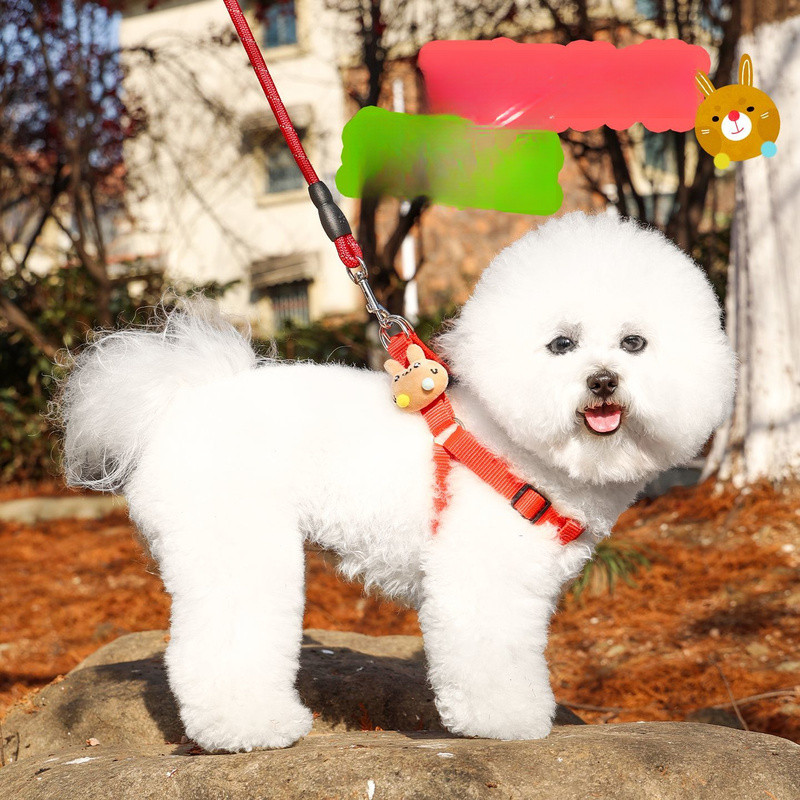 [Pet Wardrobe] Tali Anjing Tali Anjing Tali Anjing Berjalan Teddy Golden Retriever Tali Anjing Besa