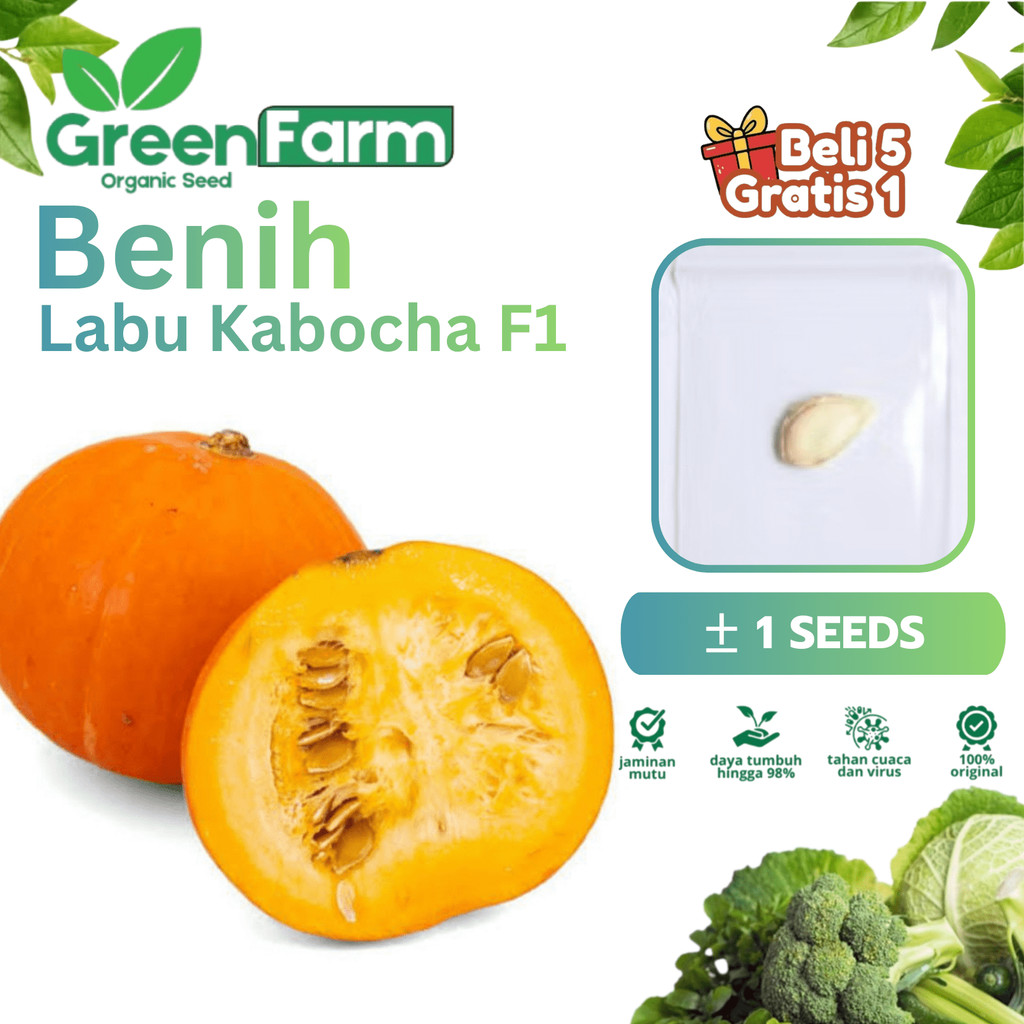 1Biji Benih Labu Kabocha Labu Jepang - Bibit Buah Sayuran