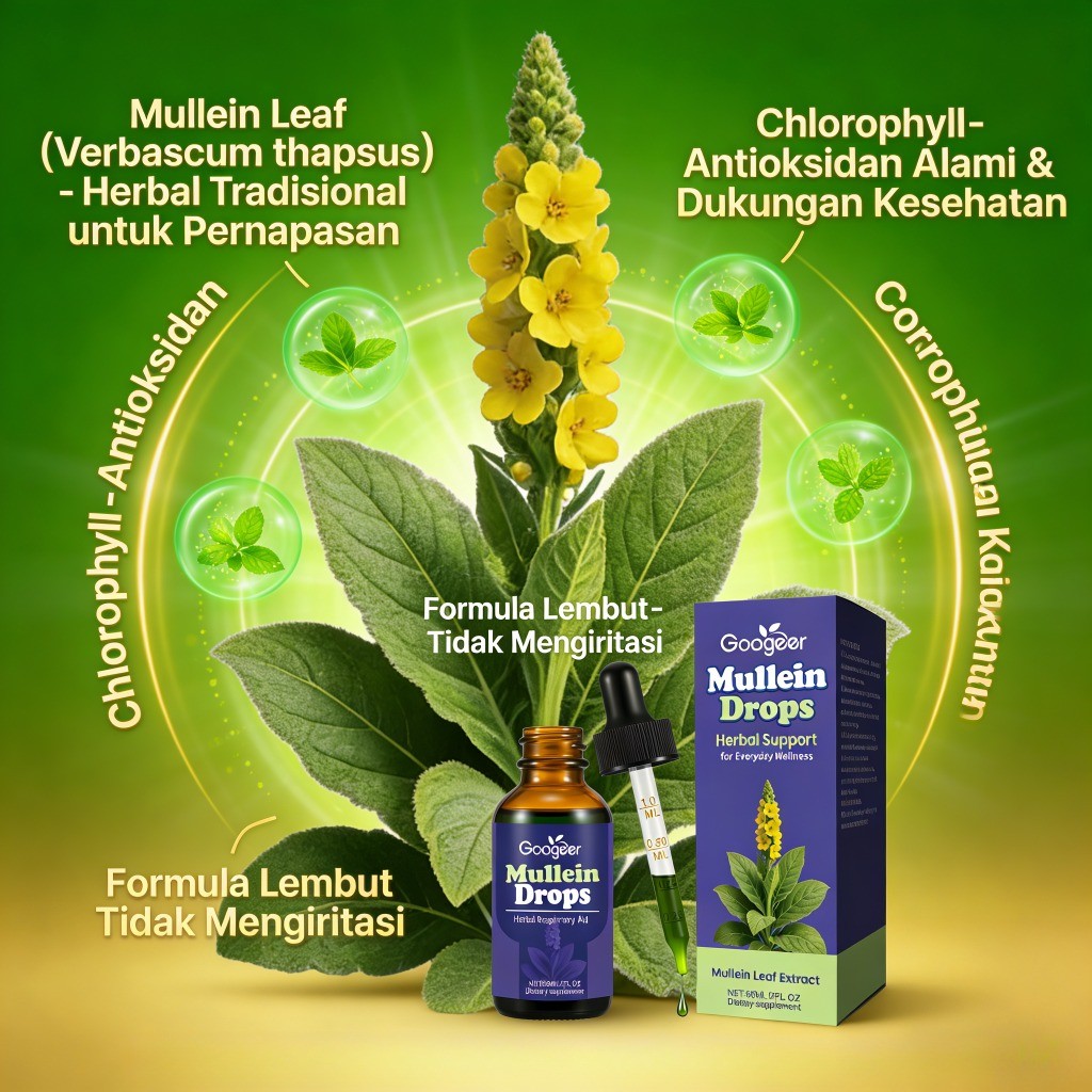 Mullein Drops Herbal Respiratory Aid Ekstrak Daun Mullein Dukung Pernapasan 60ml LY32562
