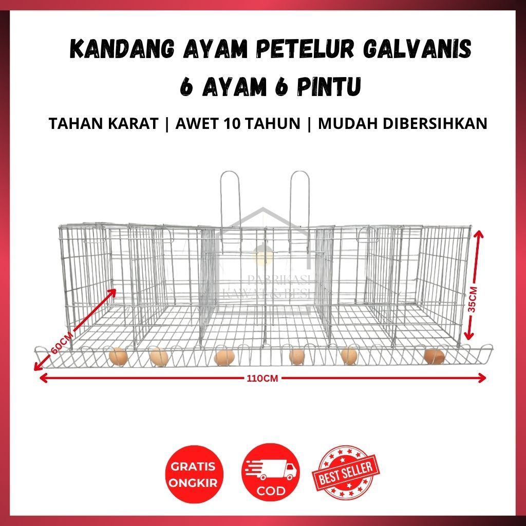 KANDANG AYAM PETELUR / KANDANG GALVANIS TAHAN KARAT 6 AYAM 6 PINTU | 8 AYAM 4 PINTU | 4 AYAM 4 PINTU