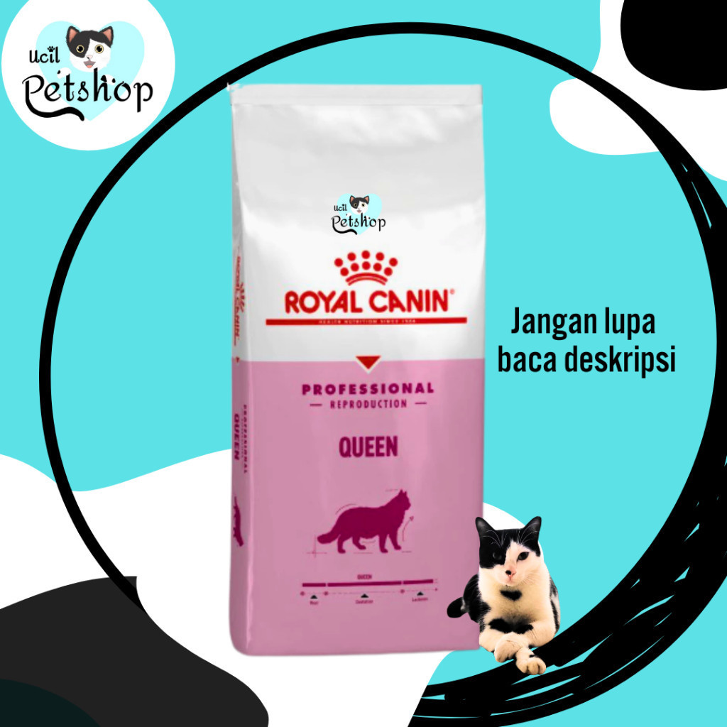 Royal Canin Professional Queen (SP) untuk Induk Kucing Hamil Menyusui