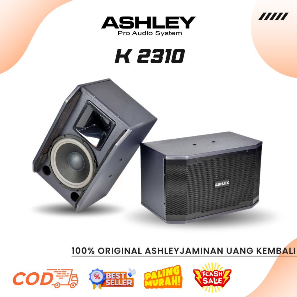 Speaker Karaoke Ashley K 2310 Professional Karaoke Speaker System