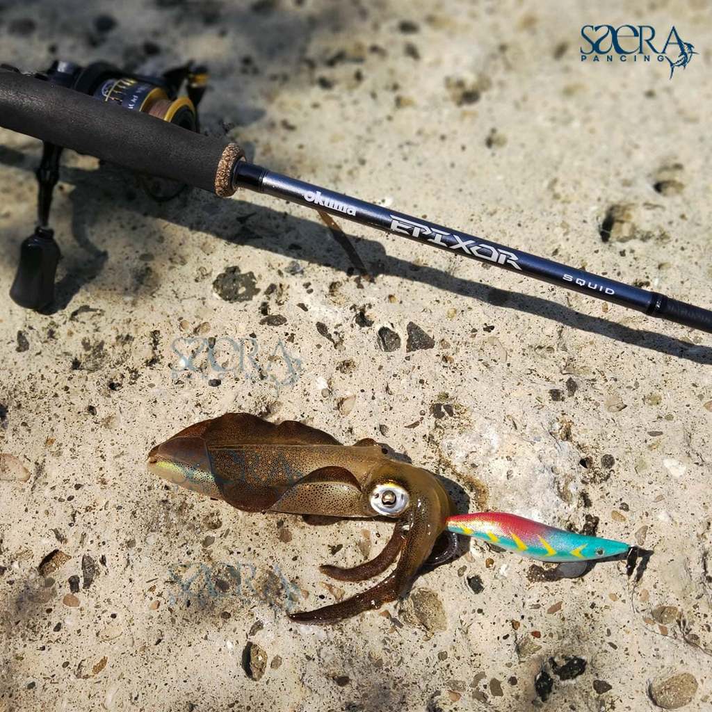 JORAN OKUMA EPIXOR EPI-S-832ML Squid Series Free Packing Pipa