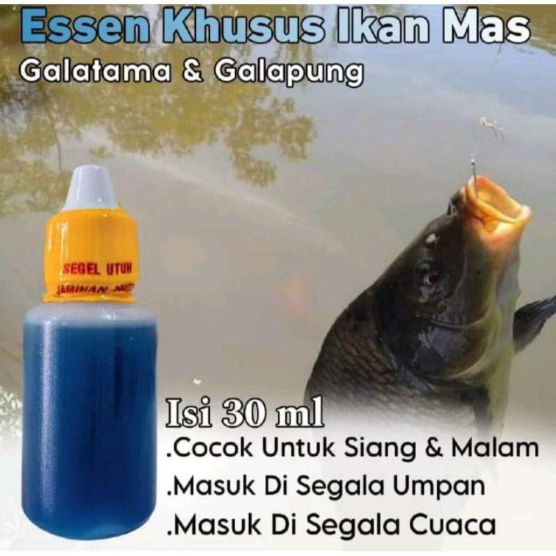 Essen Ikan Mas Indukan, Essen Ikan Mas Galatama, Essen Ikan Mas Galapung, Essen Ikan Mas Lomba