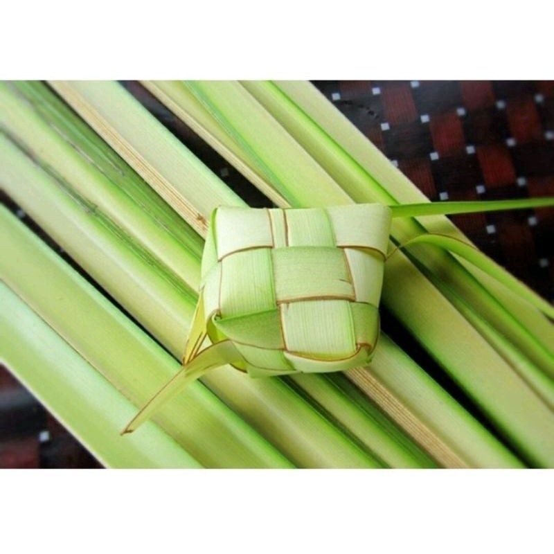 janur muda, janur kelapa, janur lebaran untuk  cangkang kupat murah, janur segar